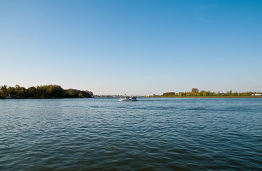 Dordrecht foto: Johan van den Tol